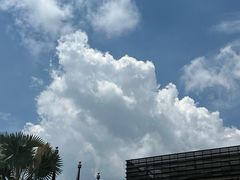 -新加坡文华东方酒店