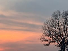 -长春公园(普阳街道)