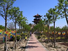 -南大港湿地风景区
