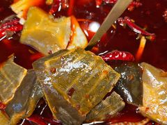 -小龙翻大江文化火锅(宽窄店)