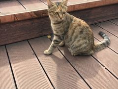 -UNIUNI(凯瑟琳广场店)