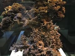 -杭州工艺美术博物馆