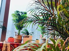 -火塘云南烧烤大排档