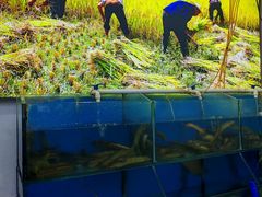 -湖南人家湘菜馆(镇江路店)