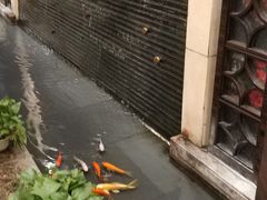 -申宴酒楼(王子百货店)