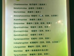 -上海昆虫博物馆