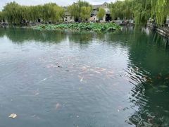 -百花洲
