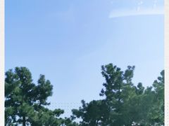 -琴岛之星摩天轮