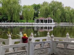-丰台花园