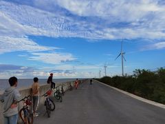 -上海长兴岛郊野公园