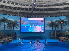 -海合安成都极地海洋公园