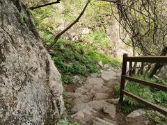 -王顺山国家森林公园