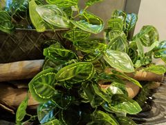 -湘当爱·鲜煮现炒(松岗立业路店)