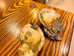 -土蚝·高压锅生蚝(百姓美食街店)