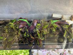 -阿才景东带皮牛肉馆(茶林苑店)
