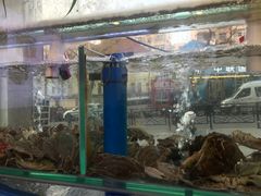 -富临港·蒸汽海鲜·手抓海鲜·炒菜(栈桥店)