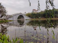 -映月湖公园