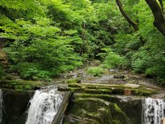 -五女峰国家森林公园