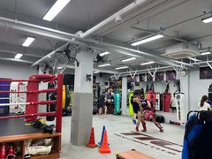 -TFC 纯泰拳馆MuayThai