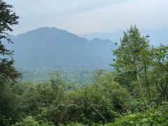 -莫干山风景区