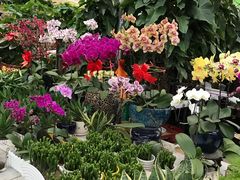 -秦美花卉(天朗·莱茵小城2期店)
