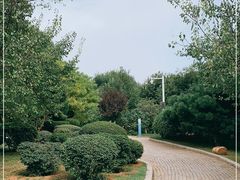 -前关湿地公园