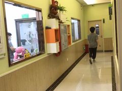 -瑞鹏宠物医院·骨科·猫科·内科(第一中心)