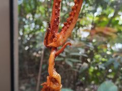 -帝豪酒店•马可勃罗西餐厅