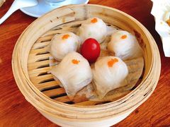 -百利鸽王(紫薇路店)