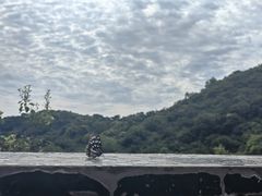 -香山公园