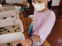 -灵龟之家百象馆(百象馆联合旗舰店)