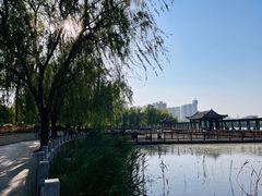 -莲花池公园