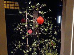 -隐溪茶馆(金虹桥店)