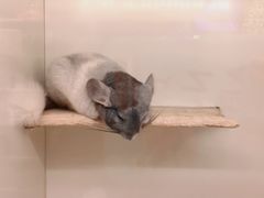 -龙猫仔乐园(惠福东路店)