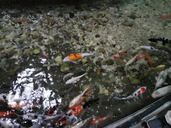 -福州罗源湾海洋世界旅游区