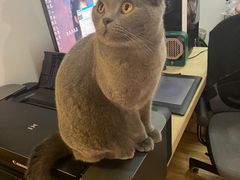 -壹人壹像工作室(购物公园店)