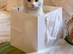 -知物癖(牛王庙店)