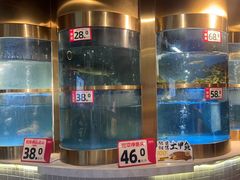 -蜀滋香鲜鱼美蛙火锅(339店)