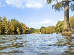 -上海长兴岛郊野公园