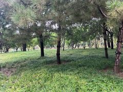 -南长河公园