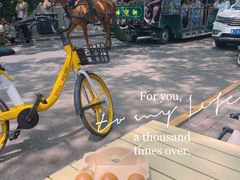 -大象厨房(重庆道店)