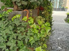 -Madeleine玛德琳(永平里店)