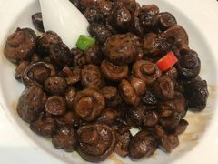 房县小花菇-亢龙太子酒轩(东湖店)