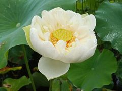 -陶辛水韵