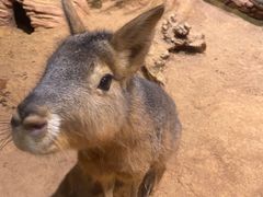 -正佳雨林生态植物园