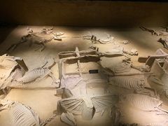 -洛阳周王城天子驾六博物馆