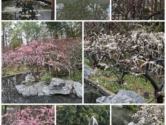 -静安雕塑公园