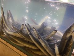 -本炙炭烤·蒲烧活鳗料理店(金沙洲店)