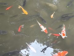 -哈哈曲艺社(西门闲亭店)