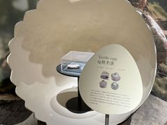 -遇见博物馆(遇见海洋沉浸式奇幻光影展)